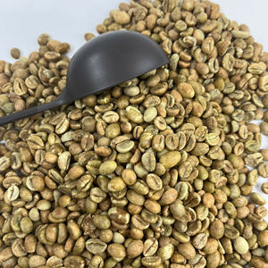 Prêt pour l'OEM et l'expédition mondiale : Lot de café vert vietnamien biologique Robusta, procédé au miel, offre spéciale sur la variété - Product Image 6
