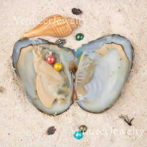 ไข่มุกน้ำจืดเลี้ยงในน้ำจืด คุณภาพ 4A+ ขนาด 7-8 มม. บรรจุสุญญากาศ 2 เม็ดในไข่มุกเดียว ของขวัญงานเลี้ยงไข่มุกแห่งความปรารถนา ไข่มุกคู่ - Product Image 3