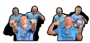 Большие голографические 3D наклейки на заказ с эффектом флипа - Product Image 2