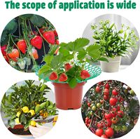 Support de plante en plastique pour plantes grimpantes, support de culture pour fraises, idéal pour le jardinage