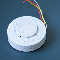Sensor de Iones Negativos SMRTE de Alta Precisión (2%rh) RS485 DC 12-24V para Montaje en Techo, Monitoreo de Cascadas y Plantas Post-lluvia