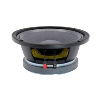 Haut-parleur de milieu de gamme 10MD26 de 10 pouces, système audio professionnel, son extérieur, haut-parleur de milieu de gamme en ferrite de 10 pouces, OEM