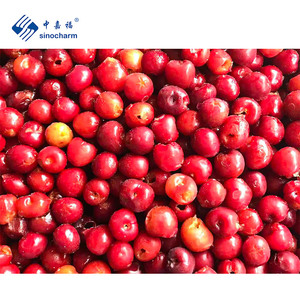 Marques Sinocharm HACCP OEM Vente en gros de cerises aigres surgelées désossées Prix cerises surgelées sans pierre à vendre - Product Image 2
