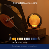 Usine directe nouveau Design double ampoule verre clair givré G40 G125 lampe à LED 120V E26 sans scintillement verre fumé ampoule en verre ambré