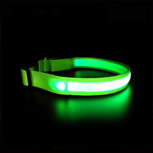 Accesorios para mascotas evitar el peligro de las correas de Nylon USB recargable luminosa Led Collar de perro - Product Image 2