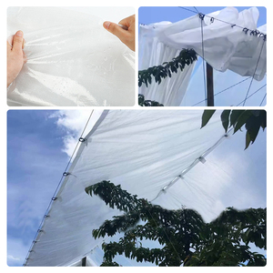 Film de <span class=keywords><strong>serre</strong></span> en plastique renforcé / Couverture de <span class=keywords><strong>serre</strong></span> en plastique / Feuille de <span class=keywords><strong>serre</strong></span> tissée <span class=keywords><strong>pour</strong></span> l'agriculture - Product Image 6