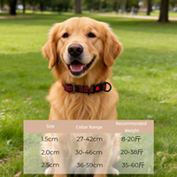 Collier Moderne Rayé en Nylon pour Chiens et Chats - Durable, Confortable, Réglable, Sécurisé, Léger, Respirant, avec Fil Réfléchissant