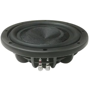 QiaHai Audio Car Subwoofer 10 Inch Spl Subwoofer Powered Rms 300w 600W Car Subwoofer Speaker HYW-1050-129