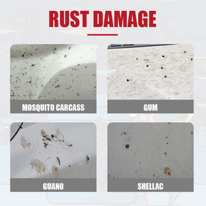 G63 concentrazione forte <span class=keywords><strong>guano</strong></span> schiuma di decontaminazione detergente per la rimozione di gommalacca colla di <span class=keywords><strong>guano</strong></span> - Product Image 3