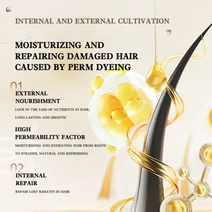 Caviar Essence Steam Free Hair Mask To Improve Hair Rashness And Enhance Hair Quality Professional Manufacturer OEM Hot Products
