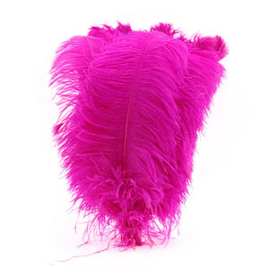 Großhandel 55-60 cm Pink Rot Gelb Schwarz Grün Straußen federn Bulk Feather Strauß zur Dekoration - Product Image 2
