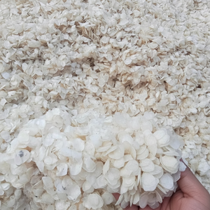 เกล็ดปลาแห้งแบบพรีเมี่ยมแหล่งธรรมชาติจากเวียดนามสำหรับสกัดเจลาตินและคอลลาเจน - Product Image 1