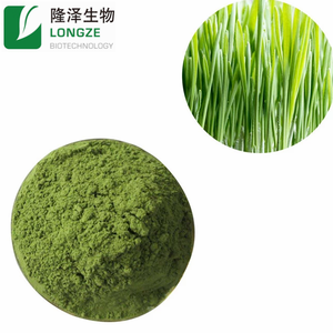 مسحوق عشب القمح الغذائي بالجملة، مستخلص فواكه طبيعي 100٪، تعبئة في براميل 25 كجم وحاويات بلاستيكية - Product Image 4