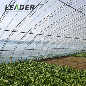 Película Plástica para Invernadero <span class=keywords><strong>Sunmaster</strong></span> de 200 Micras para Agricultura, Gran Oferta con Excelente Precio, Antivaho, Alta Calidad, Duración de 3 a 5 Años - Product Image 3