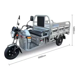 High Quality 3 Wheel Passenger Seat Electric Cargo Tricycle