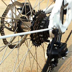 Vélo électrique de cargaison de roues du style européen 3 avec des sièges pour porter avec l'entrée principale - Product Image 6