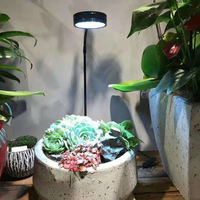Lumière LED pour aquarium en panneau de bambou, aquascape, micro-paysage, éclairage décoratif pour aquarium