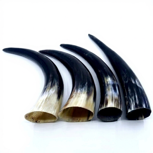 Corne de buffle sculptée à la main, décoration souvenir, corne à boire viking, forme naturelle, écologique, manche de couteau personnalisé, artisanat en gros - Product Image 1