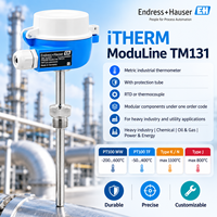 Sensor Suhu Tinggi Endress Hauser TM131 Pt100 RTD Thermocouple dengan Tabung Pelindung