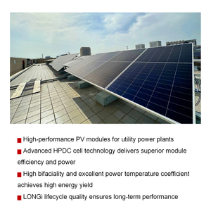 Panel Solar Longi Solar Energy Hi-MO7 LR7-72HGD 585-620M 610W 615W Tipo N Topcon de Silicio Monocristalino Dual de 610W 615W en Stock - Product Image 6