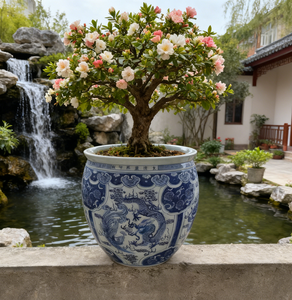 Maceta <span class=keywords><strong>de</strong></span> Bonsái <span class=keywords><strong>de</strong></span> Porcelana Azul y Blanca China con Patrón <span class=keywords><strong>de</strong></span> Dragón y Fénix, Maceta Grande <span class=keywords><strong>de</strong></span> Cerámica <span class=keywords><strong>para</strong></span> Árbol <span class=keywords><strong>de</strong></span> Bonsái <span class=keywords><strong>de</strong></span> Pino - Product Image 6