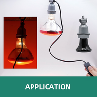 Support de lampe chauffante infrarouge E27, ampoules à économie d'énergie pour volailles, support de lampe avec interrupteur et prise