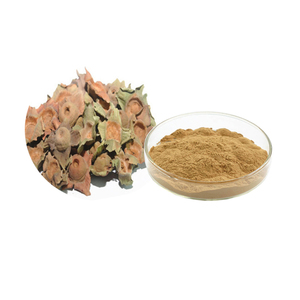 Poudre d'extrait naturel de calyx de kaki (Diospyros Kaki <span class=keywords><strong>Thun</strong></span> L F) 20:1, haute qualité, extraction par solvant, emballée sous vide en fût, pour la santé - Product Image 1