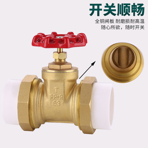Ppr Ppr20-63 - Product Image 4