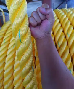 Fabrika fiyat naylon halat/pe büküm halat/filipinler pazarı için plastik halat