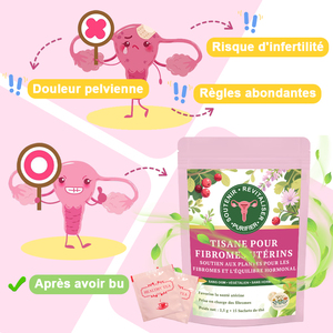 Thé Naturel เท fibromes utérus et สมดุลฮอร์โมน mélange de Plantes เท fertilité fémine สุขภาพดีสมุนไพรชาธรรมชาติ - Product Image 3