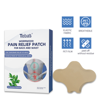 Lijitang personnalisé taille et dos soulagement de la douleur Patch Nature herbes autocollants élastique absinthe taille douleur santé Patch