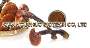 Китайский натуральный органический экстракт гриба Рейши порошок гриба Рейши Порошок - Product Image 3