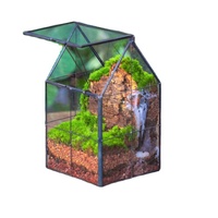 Kit Terarium Tanaman Udara Ramah Lingkungan Modern dengan Vas Kaca dan Bola Kaca untuk Penggunaan di Meja Rumah
