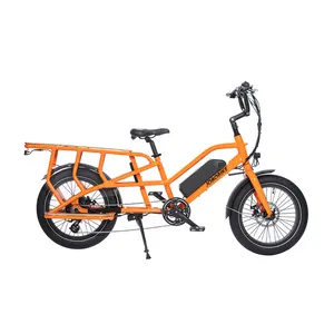 Long seat cargo style family electric bike family 20inch fat tire e bike with dual lithium battery