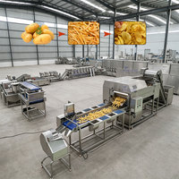 Industriële automatische aardappelchipsmachine, complete productielijn voor diepvries halffrituur gebakken frieten