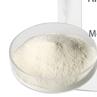 Polvo de Enzima Alfa Amilasa de Grado Alimenticio 100000u/g a Granel para Licuefacción de Almidón en Elaboración de Cerveza y Maltodextrina para Panificación CAS 9000-92-4