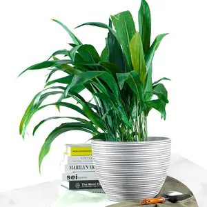 Ronbo Sunrise – pot de fleurs en plastique haut de gamme, pour la maison et le jardin, vente en gros