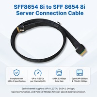 Kabel Penyimpanan Internal Server Wire SFF-8654 8i SAS4.0 24Gbps Konduktor Tembaga Berlapis Timah Kabel Pelindung Jalinan