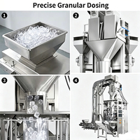 Équipement d'emballage vertical automatique pour les travaux d'emballage industriel de glace en blocs et en cubes, machine d'emballage de glace granulaire