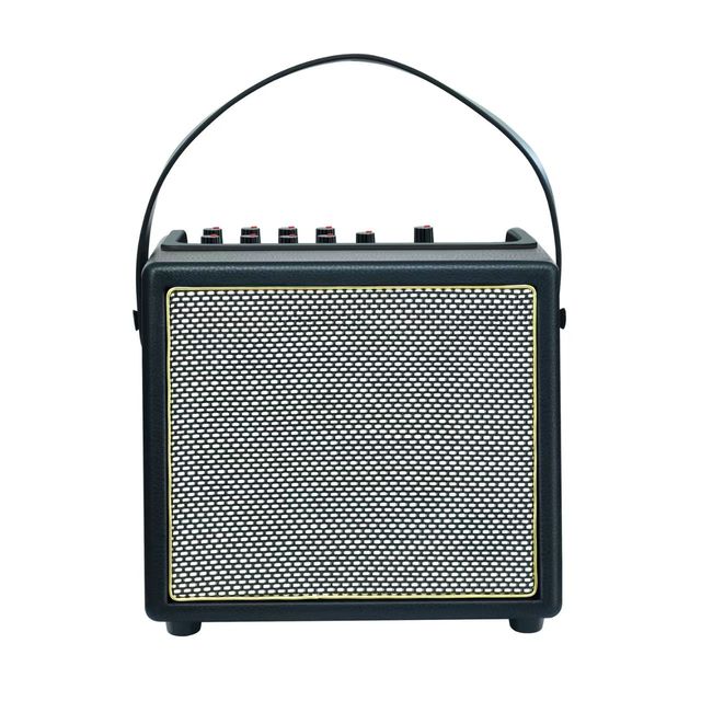 Langyun PD-30 30W Portable Sound System Electric Guitar for Speaker Trumpet Dual Live Musical Instrument Accessory