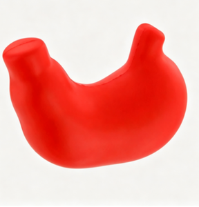 Pelotas Antiestrés Personalizadas con Forma de Estómago, Modelo Anatómico, de Espuma de PU, para Aliviar el Estrés, Regalo Promocional al por Mayor - Product Image 4