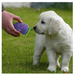 Juguete de Peluche con Sonido de Frutas y Verduras, Juguete Interactivo para Mascotas, Perros y Gatos, Juguetes Molares - Product Image 3