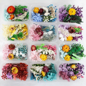 Kit de Matériaux de Fleurs Séchées DIY pour Fête de Remise des Diplômes - Cadres Photo, Bouteilles Flottantes, Maternelle, Salon - Product Image 5