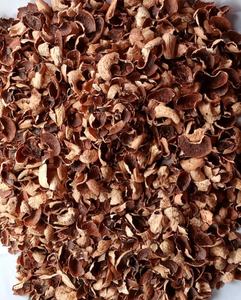 Offres Spéciales CASHEW HUSK 3-10mm Marron 10% Humidité GGN Marque MOINS CHER PRIX 2025 - Product Image 2