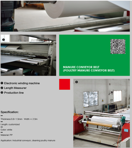 Nueva condición PP cinta transportadora para sistema de eliminación de estiércol de aves de corral granja equipo de cría de pollos venta al por menor uso doméstico <span class=keywords><strong>Yuebao</strong></span> - Product Image 5