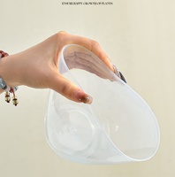 Échantillon gratuit de pot de fleurs hydroponique auto-arrosant classique en plastique PP transparent pour la culture intérieure à la maison et au jardin