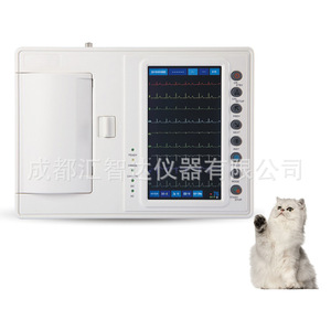 เครื่องตรวจคลื่นไฟฟ้าหัวใจสัตว์ Huizhida Veterinary ECG-1206A หน้าจอสัมผัสสีขนาด 7 นิ้ว แบบ 6 ลีด สำหรับสัตว์ - Product Image 4
