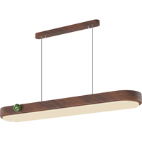 Lustre Led Moderne Acrylique Éclairage Aluminium Silicium Lustre Créatif Nordique Pendentif Gradation Avec Contrôleur