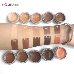 10 di colore di Copertura Completa Singolo Vegan Pro di Profilo di Concealer Private Label Personalizzato Trucco Correttore