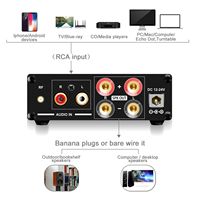 Enceintes domestiques en gros 50W X 2 avec contrôle des basses et des aigus Amplificateur audio Apt-X